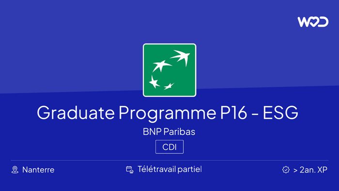 Graduate Programme P16 - ESG Project Manager AI – F/H - IT job