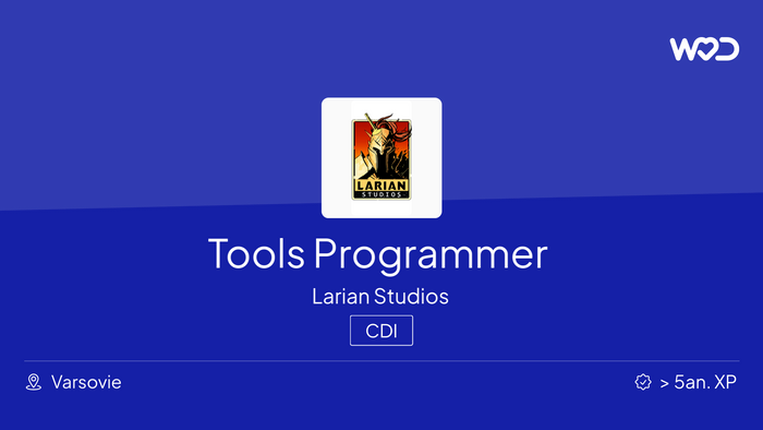 Tools Programmer - IT job