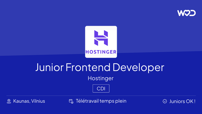 Junior Frontend Developer (Horizons team) - IT job