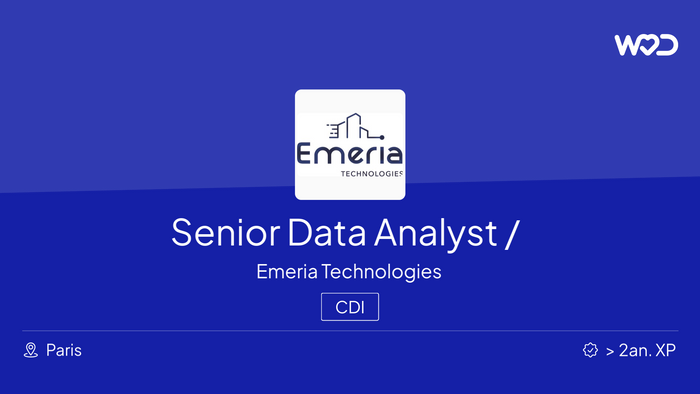 Senior Data Analyst / Analytics Engineer - IT job