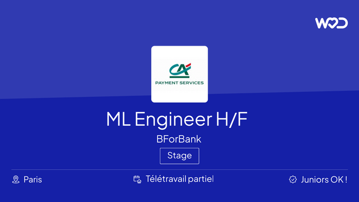 ML Engineer H/F - IT job