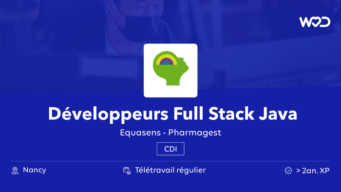 Développeurs Full Stack Java / Angular H/F - Equasens - Pharmagest - IT job