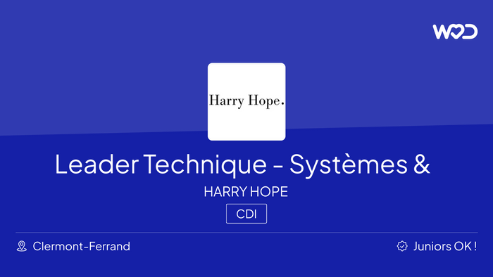 Leader Technique - Systèmes & Infrastructure (H/F) - IT job