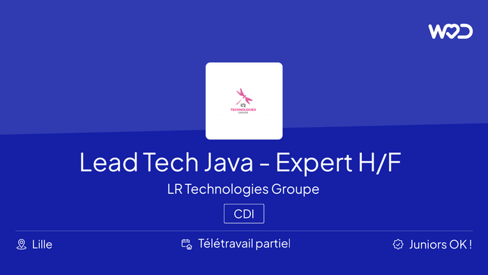 Lead Tech Java - Expert Datadog H/F - IT job