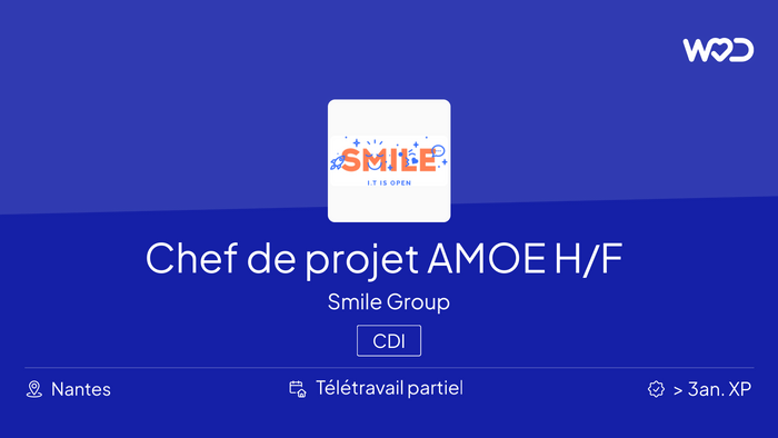 Chef de projet AMOE H/F - IT job