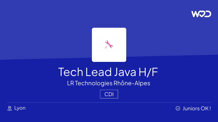 Tech Lead Java H/F - IT job