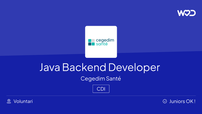 Java Backend Developer - IT job