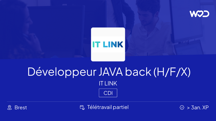 Développeur JAVA back (H/F/X) - IT LINK - IT job