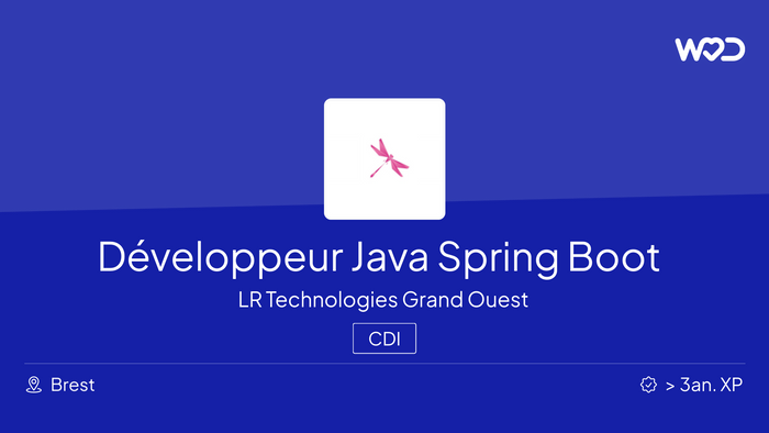 Développeur Java Spring Boot H/F - IT job
