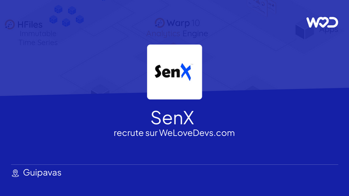 Developer at SenX - jobs and salaries | WeLoveDevs