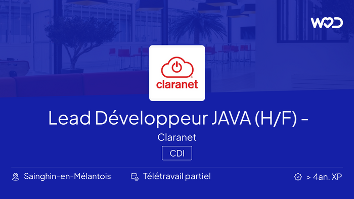 Lead Développeur JAVA (H/F) - Hybrid Working - Claranet - IT job