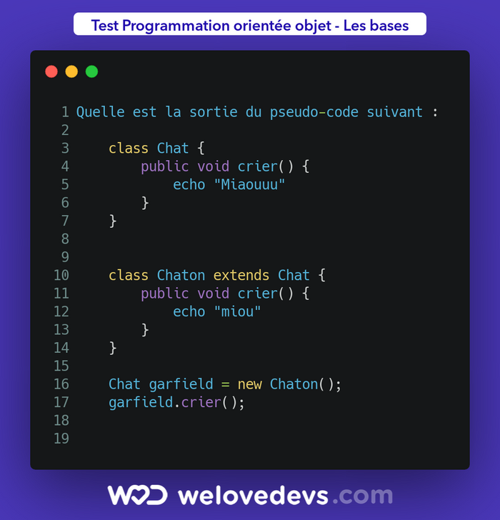 Que fait ce programme