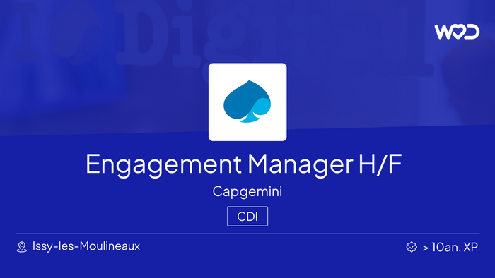 Engagement Manager H/F - Capgemini - IT job
