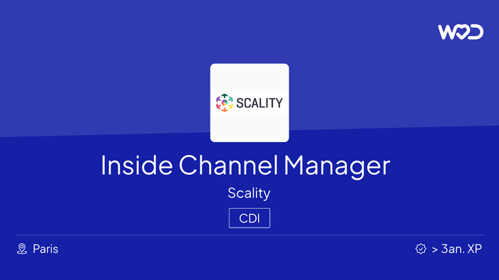 Inside Channel Manager - IT job