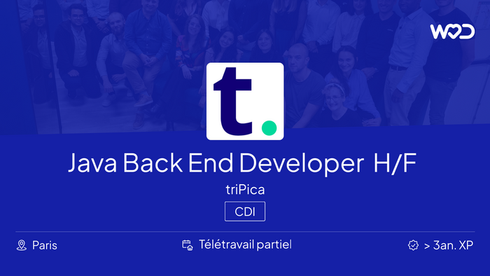 Java Back End Developer H/F - triPica - IT job