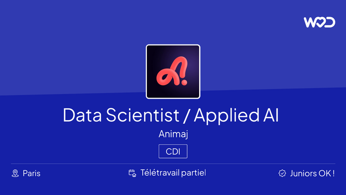 Data Scientist / Applied AI Developer - IT job
