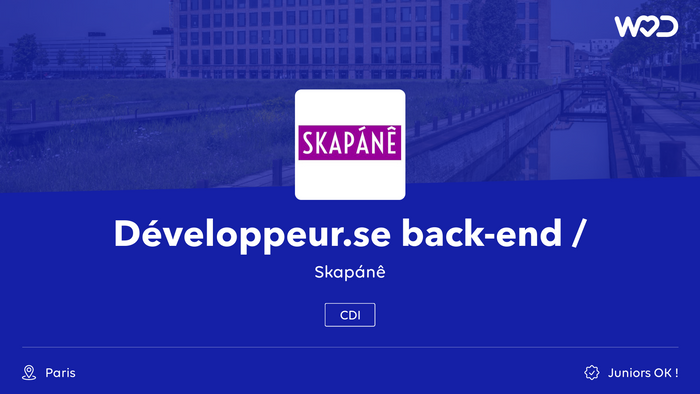 Développeur.se back-end Python / Java - Skapánê - IT job