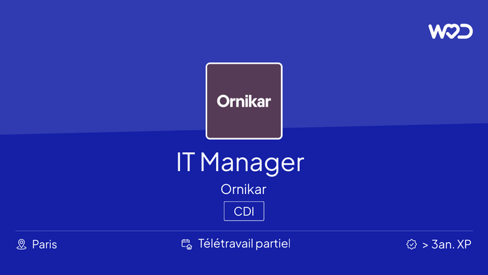IT Manager - IT job
