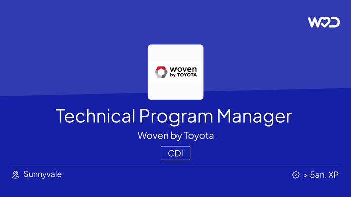 Technical Program Manager - IT job