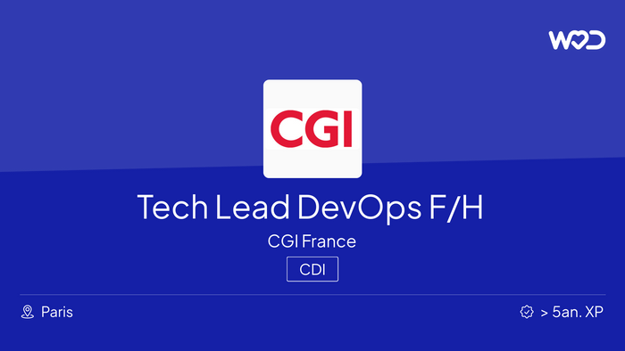 Tech Lead DevOps F/H - IT job