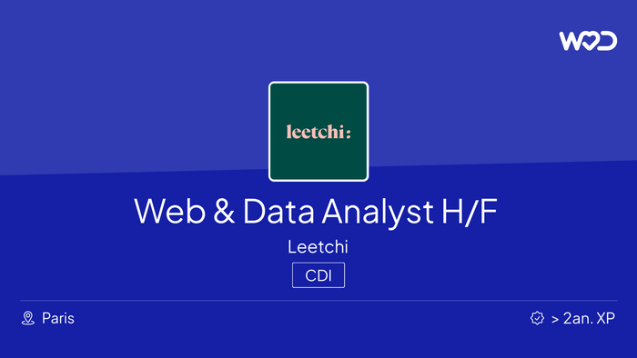 Web & Data Analyst H/F - IT job