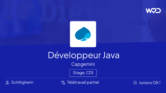 Développeur Java - Capgemini - IT job
