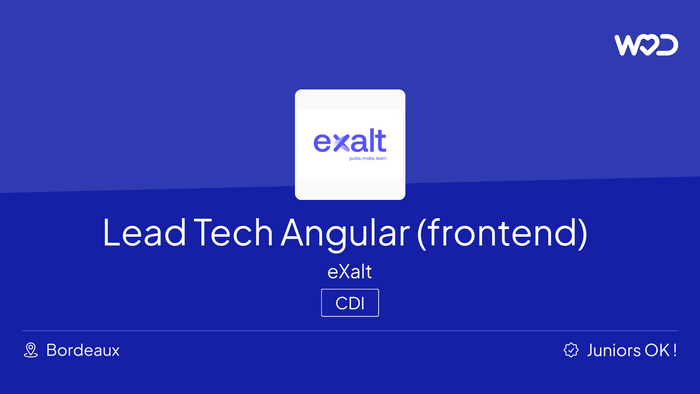 Lead Tech Angular (frontend) - IT job