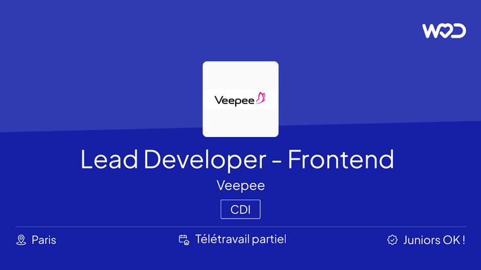 Lead Developer - Frontend - IT job