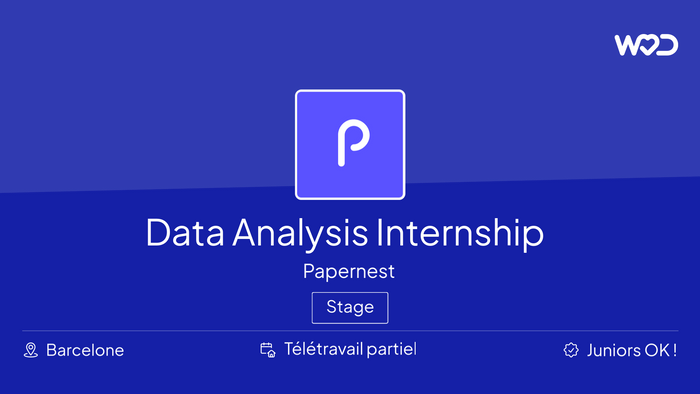Data Analysis Internship Program - IT job