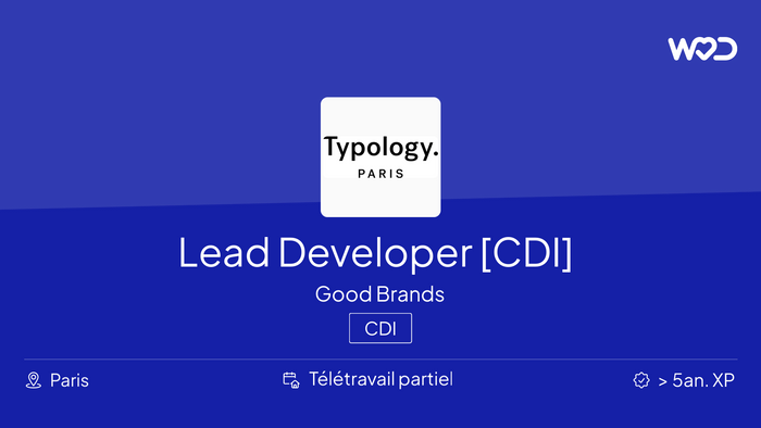 Lead Developer [CDI] - IT job