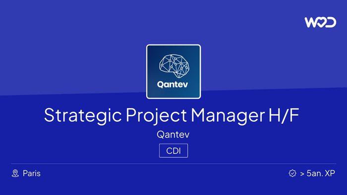 Strategic Project Manager (Spanish Speaker) H/F - Emploi IT
