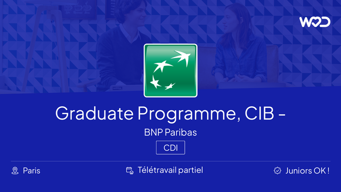 Graduate Programme, CIB - AMM Stratégiste C++, F/H - BNP Paribas - IT Job